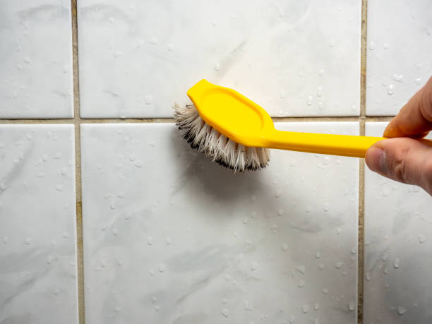 Best Mold Damage Repair  in Powderly, TX